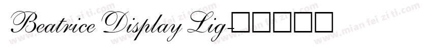 Beatrice Display Lig字体转换